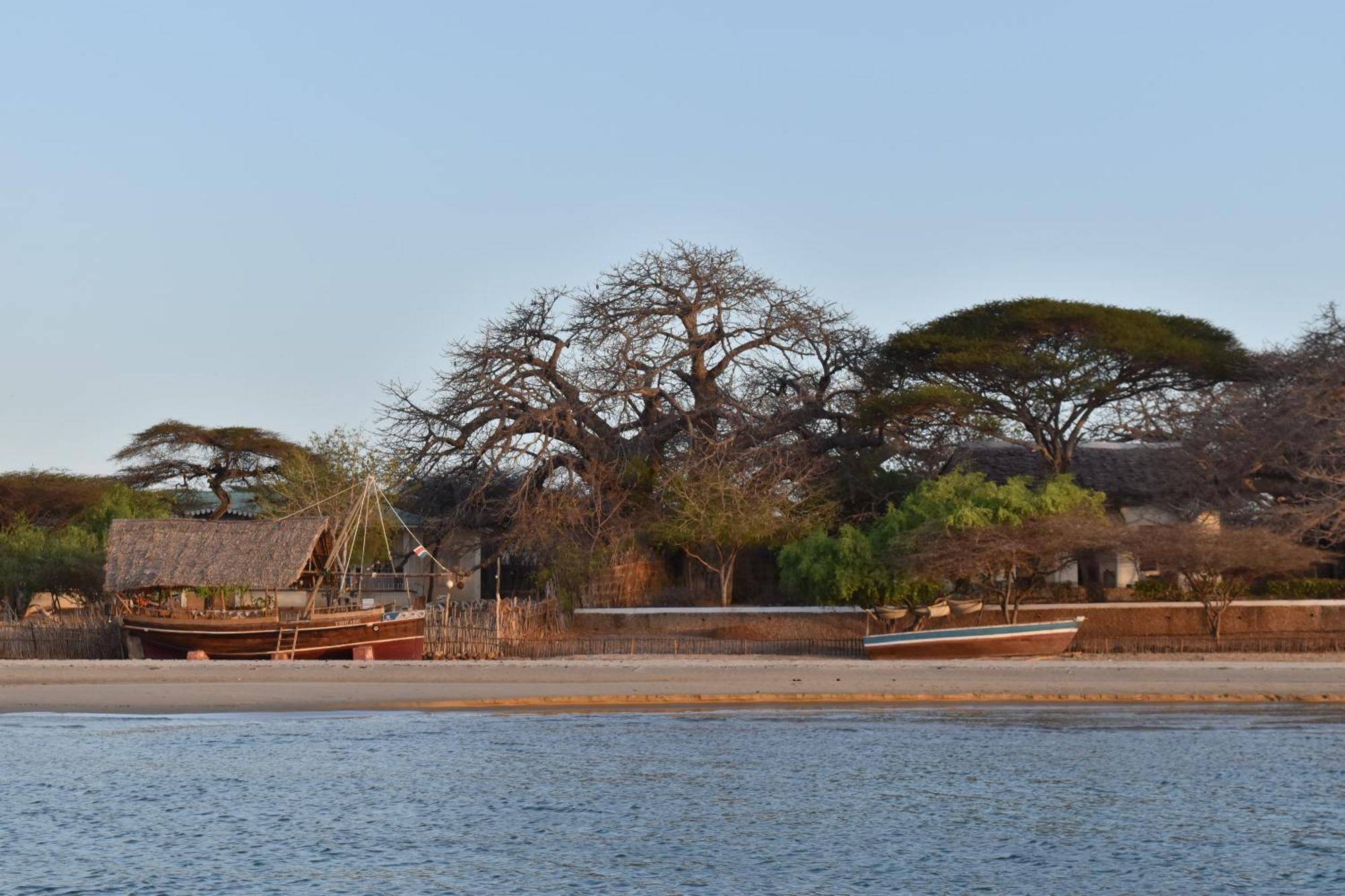 Amu House Hotel Lamu Bagian luar foto